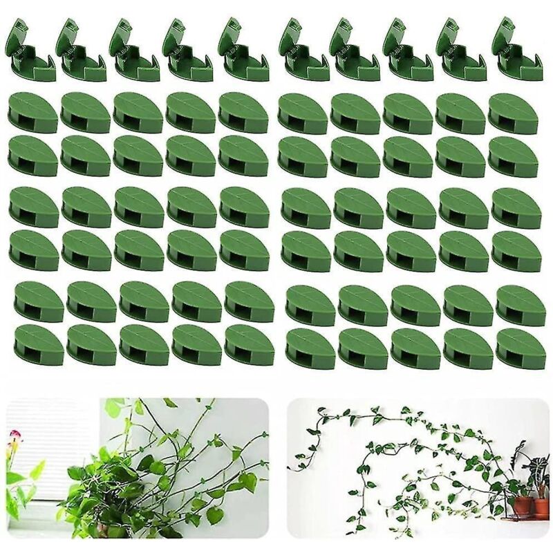 Packung Mit 70 Wand-pflanzenstützen Für Kletterpflanzen – Für Garten, Wohnung, Büro