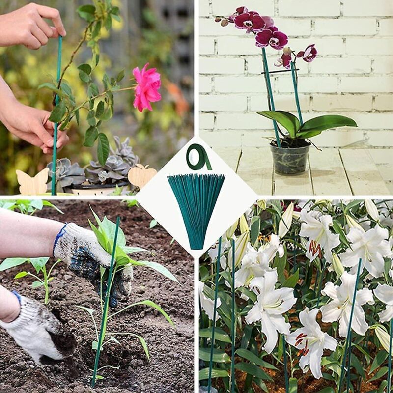 Packung Mit 50 Grünen Bambus-pflanzenstützen Für Kletterpflanzen, Inklusive 30 Metern Papierklebeband Und 50 Pflanzenbindern – 38 Cm Lange Gartenstütze Für Kletterpflanzen