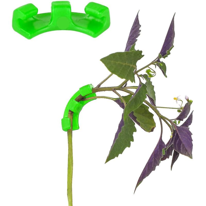 Packung Mit 30 Grünen Rechtwinkligen Gartenclips (lst) – Packung Mit 30 Rechtwinkligen Gartenclips (lst) Für Stressarmes Ranken Und Pflanzenstützen