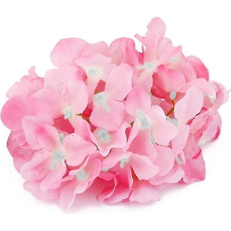 20 Hortensienblüten
