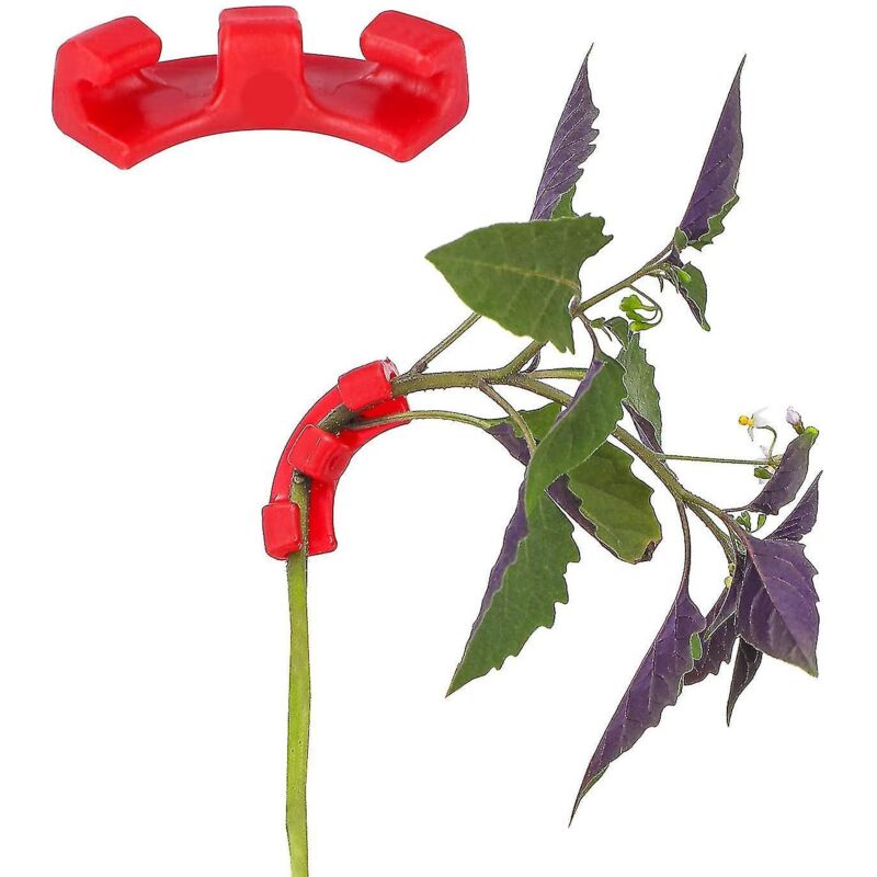 Packung Mit 30 Rechtwinkligen (90°) Gartenclips Für Die Lst-technik (low Stress Training) – Rot
