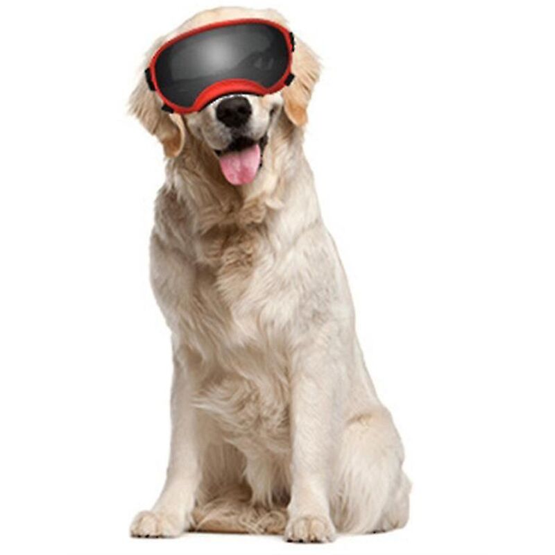 Verstellbare Uv-schutzbrille Für Haustiere, Geeignet Für Mittelgroße Bis Große Hunde.
