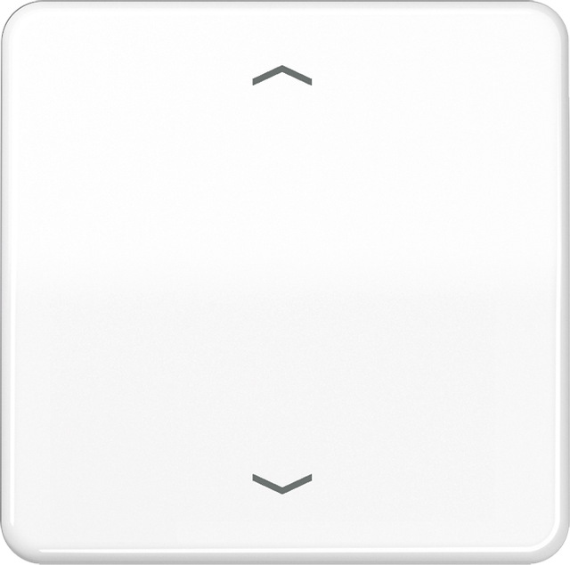 Jung Steuertaste Standard Symbole Pfeile CD 1700 P WW