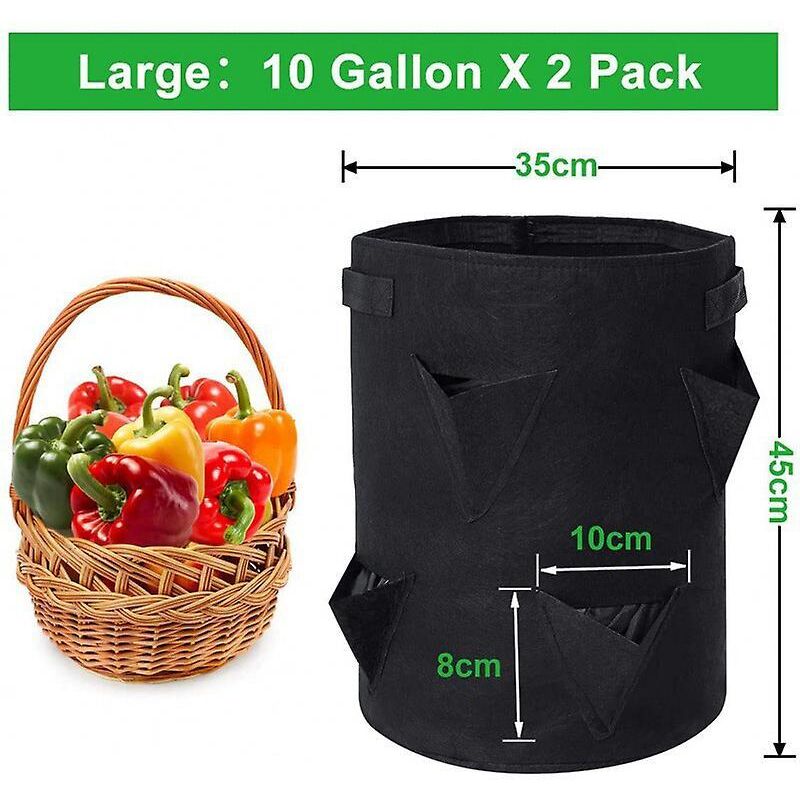 Set Mit 2 Pflanzsäcken Für Schwarze Erdbeeren