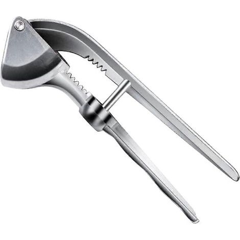 Praktische Knoblauchpresse Aus Edelstahl (1 Stück) Für Die Küche (silber) – 15,50 X 5,50 X 3,50 Cm – Silber