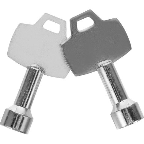 Set Mit 2 Ersatzschlüsseln Für Abziehbare Dreieckige Mülltonnenschlösser Im Außenbereich – 5,2 X 2,8 Cm – Silber