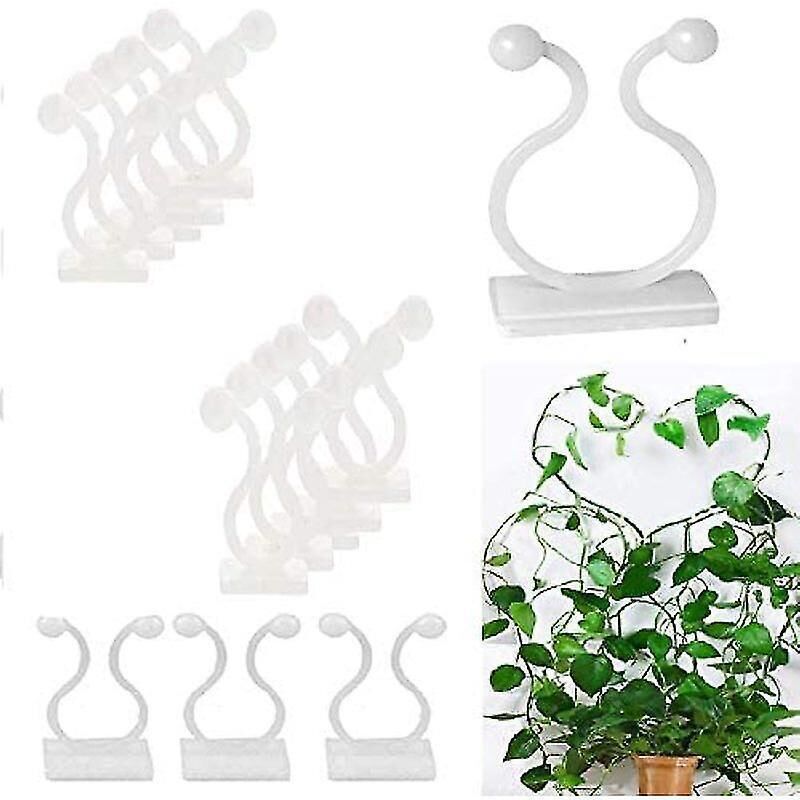 50 Pflanzenclips Für Kletterpflanzen, Selbstklebende Befestigungsclips, Stützen Für Kletterpflanzen