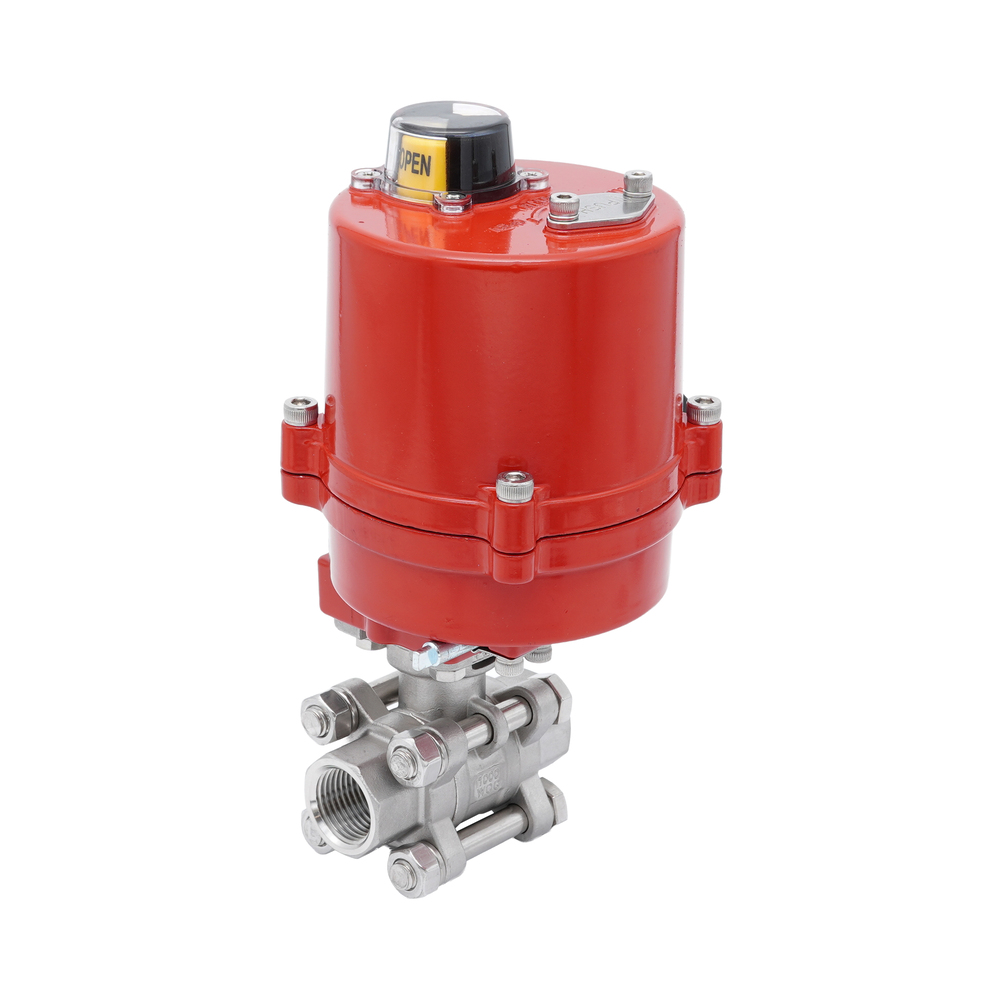 Rp 2'' 2-Wege Edelstahl-Kugelhahn mit elektrischem Antrieb 24 V AC/DC