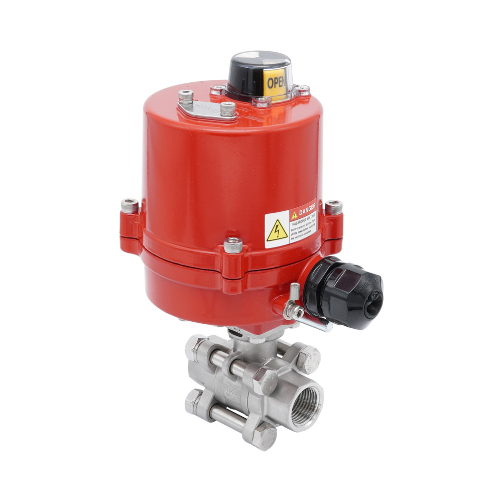 Rp 2'' 2-Wege Edelstahl-Kugelhahn mit elektrischem Antrieb 24 V AC/DC Bild 2