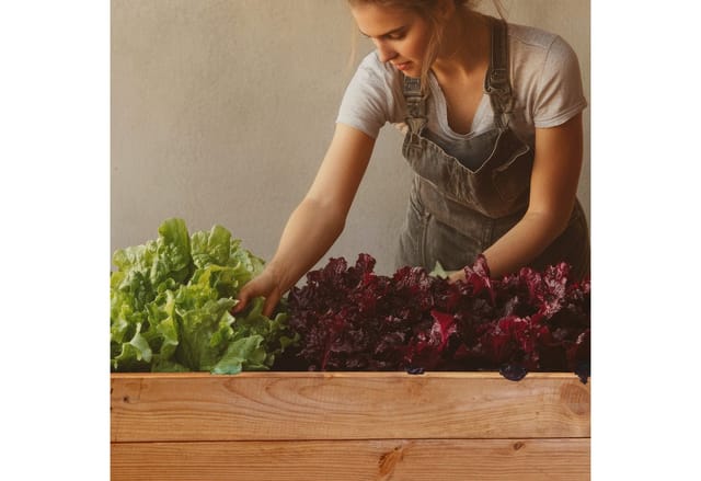 Hochbeet L 79x40x79cm Ocker
