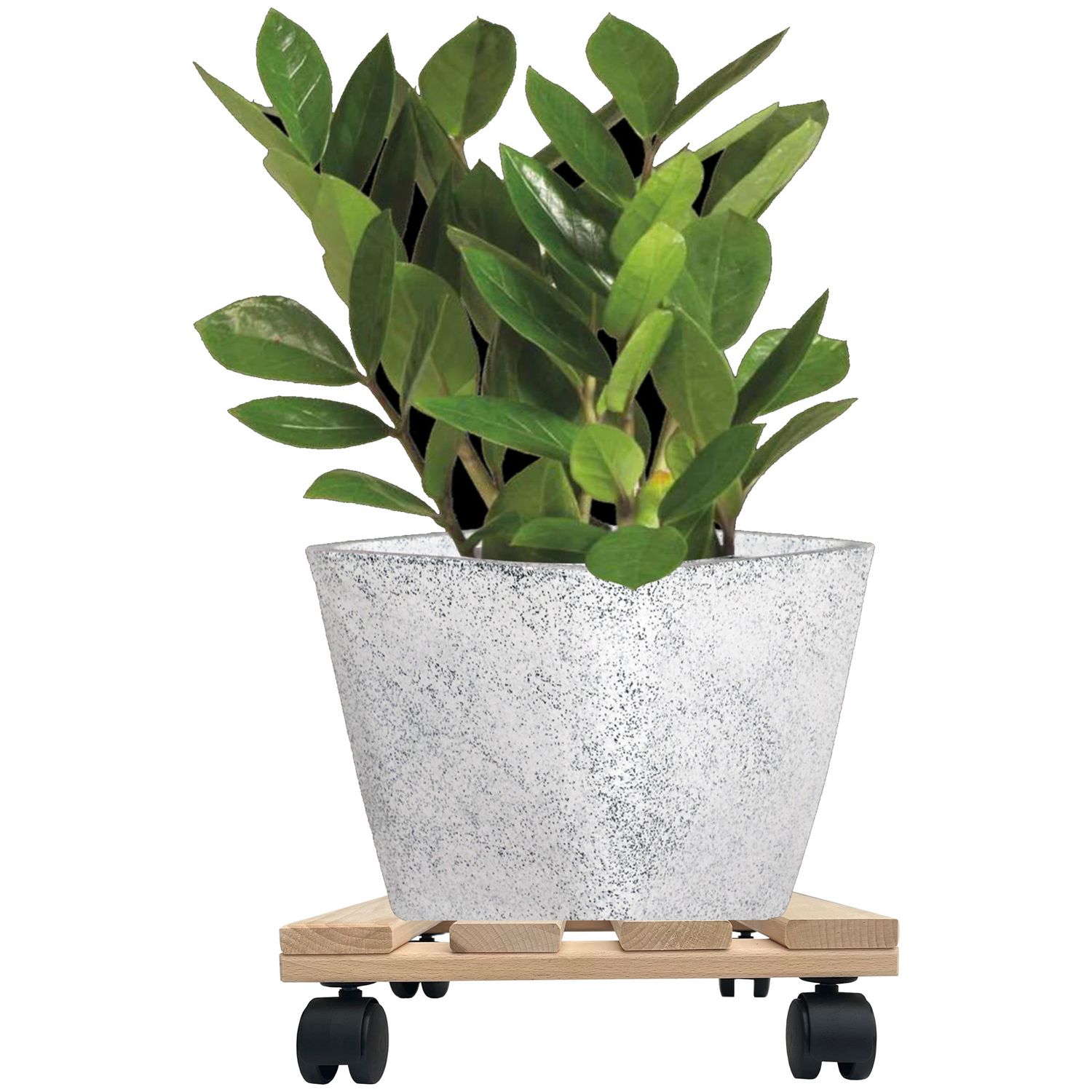Kynast - 1x Rolluntersetzer Eckig Pflanzenroller 30x30 Cm - Max. 120 Kg Traglast - Aus Buchenholz - Stabil & Robust - Für Pflanztöpfe, Möbel & Schwere Gegenstände