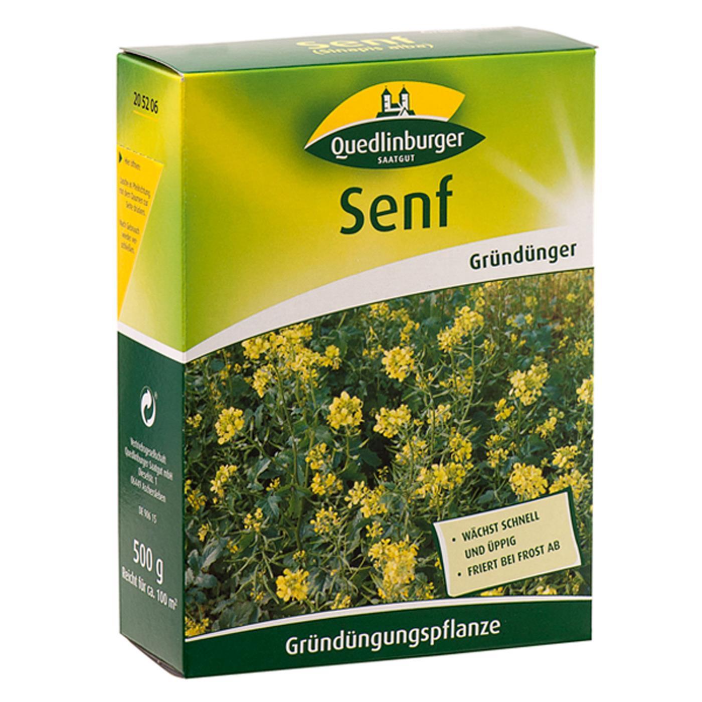 Quedlinburger Gründünger Weißer Senf Sinapis Für Ca. 100 M² 500 G - Faltschachtel