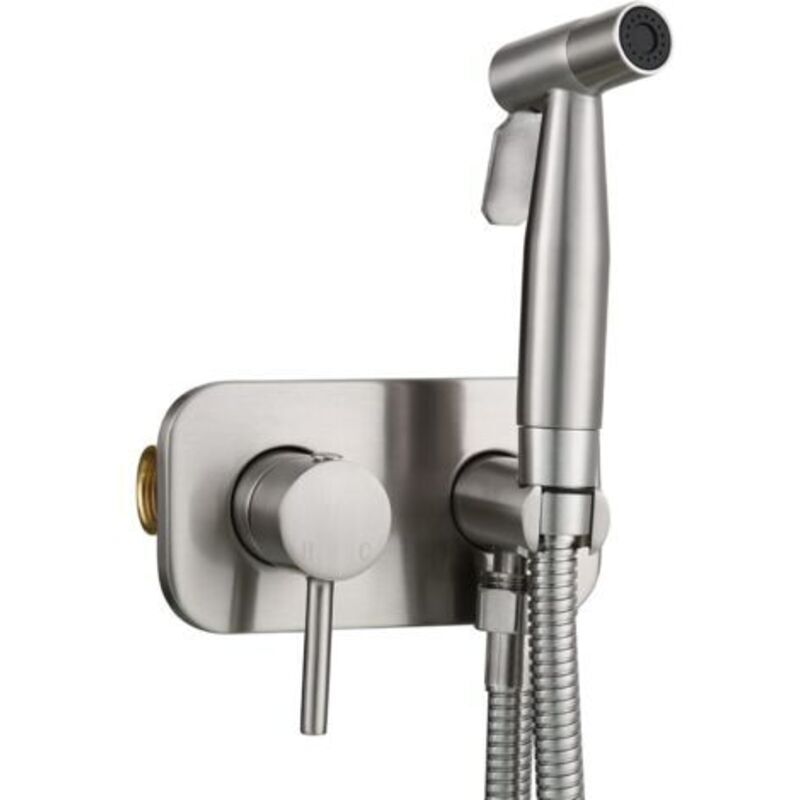 Einbaubare Edelstahl-bidet-handbrause – Warm- Und Kaltwasser – Wandmontage – Standard-g1/2"-anschluss – Gebürstetes Silber