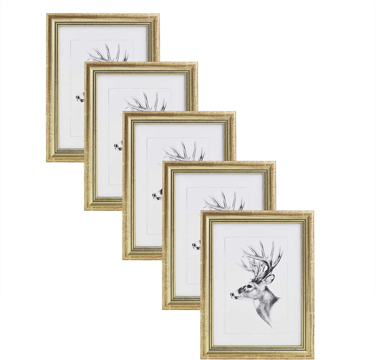 5er Set 30x45cm Bilderrahmen Artos Stil Holz Rahmen Fotogalerie Glasscheibe, Gold - Woltu