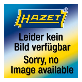HAZET 2K-Weichschaum-Einlage 163-527L