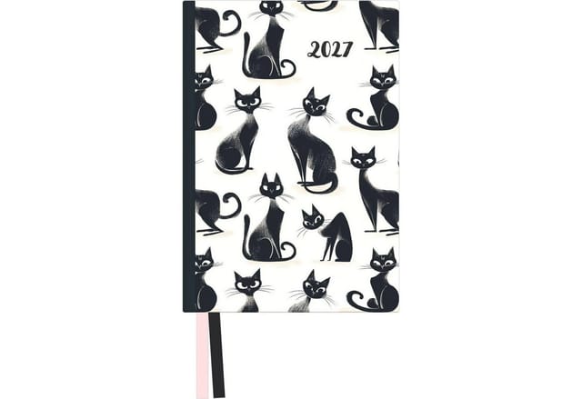 Taschenkalender Cats 2027