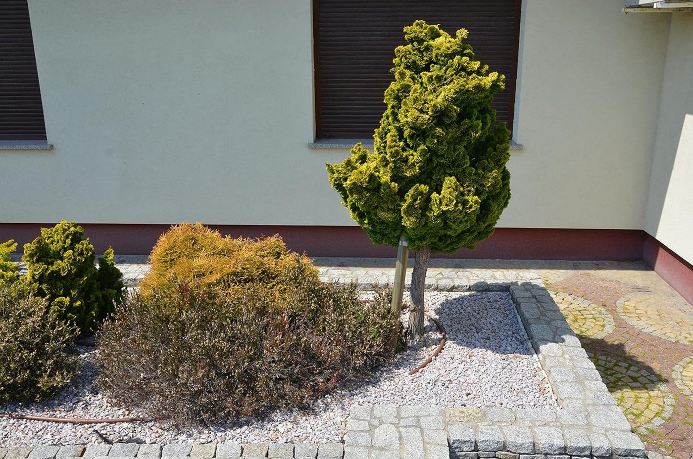 Best for Garden Trittsteine Granit-Kies 8-16 mm – Dekorative Steine, Garten & Landschaft, Einzelartikel, 1-St., Granit-Kies in gewählter Gewichtsvariante, Frostbeständig, UV-beständig, Wasserfest, Naturstein, Langlebig