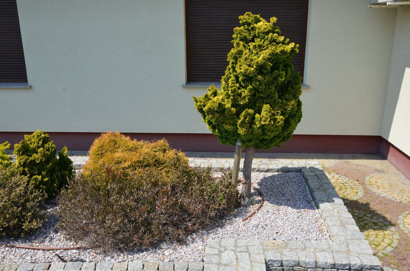 Best for Garden Trittsteine Granit-Kies 8-16 mm – Dekorative Steine, Garten & Landschaft, Einzelartikel, 1-St., Granit-Kies in gewählter Gewichtsvariante, Frostbeständig, UV-beständig, Wasserfest, Naturstein, Langlebig Bild 5