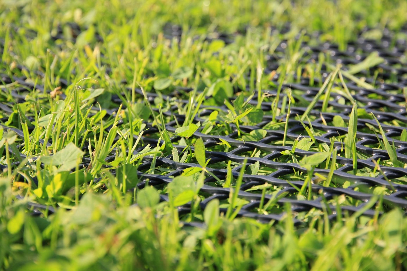 EraGreen Schutzplane EraGreen Rasenschutzgitter 1,3 m Breite x 5 m Länge 5 GRATIS ERDANKER (Rasenschutzgitter, Mähroboter-kompatibel, befahrbares Rasengitter für Garten) Bild 4