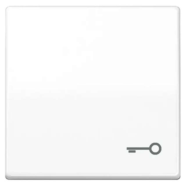 Jung Wippe Symbol TÜR aws für Taster AS 591 T WW