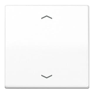 Jung Wippe Symbole aws für Taster AS 591 P WW