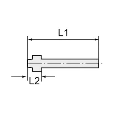 Riegler Schlauchtülle mit Kugelnippel, für Schlauch LW 25, Messing vern.