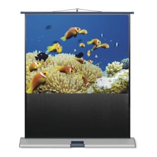 Magnetoplan Leinwand Mobil Standard, 4:3 1350 x 1800 mm