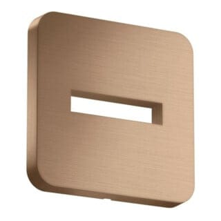 hansgrohe Rosette 130x130mm, soft, Wandmont., brush. r gol