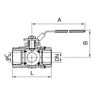 Riegler - 3-wege-kugelhahn, T-bohrung, Edelstahl 1.4408, G 1/2, Dn 15, 11082 C-es