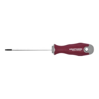 Kraftwerk Schraubendreher PRO LINE TX10 100