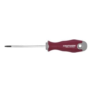 Kraftwerk Schraubendreher PRO LINE TX15 100