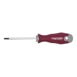 Kraftwerk Schraubendreher PRO LINE TX25 100