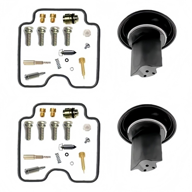 Vergaser-reparatursatz Für Suzuki Gs500 Gse500 2001-2011