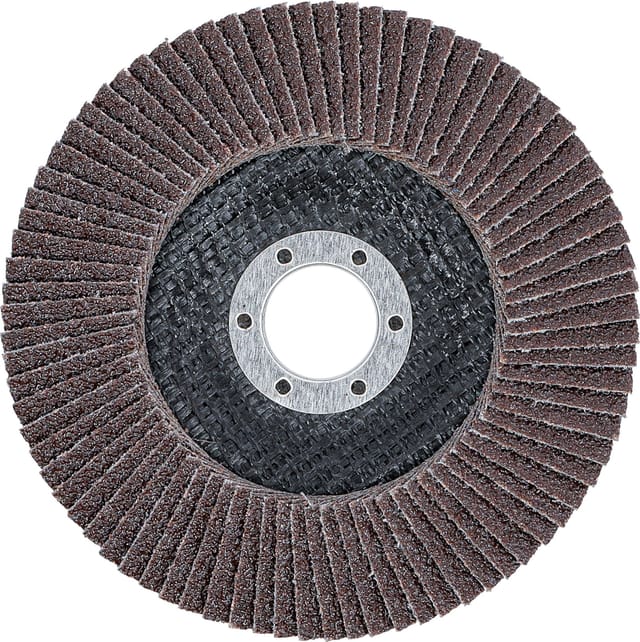BGS Fächer-Schleif-Scheibe Ø 125 mm K 40
