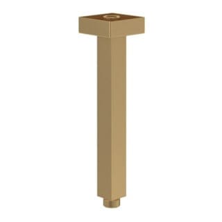 V&B Brausearm Universal Showers eckig, Deckenmontage, brushed gold