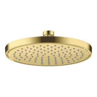 hansgrohe Kopfbrause Axor Deck.- o Wandmont., 220mm, 1j, brush. br