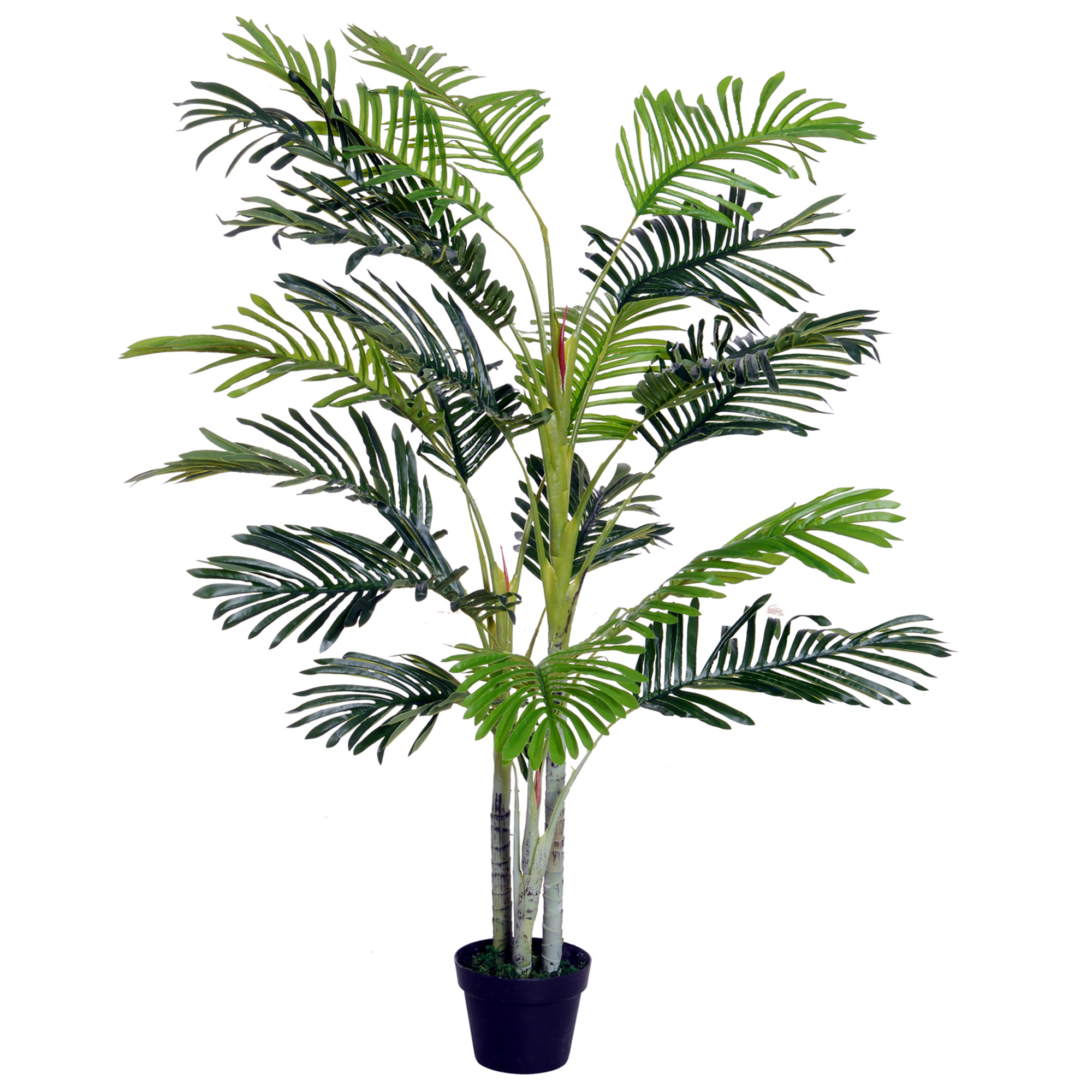 Künstliche Palmera-pflanze, 150 Cm, Mit Maceta- Und Musgo-blüten, Zur Dekoration Von Wohnzimmer Oder Büro. Ø 18 X 150 Cm, Grün