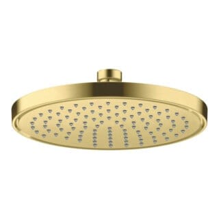 hansgrohe Kopfbrause EcoSmart Axor Deck.- o Wandmont., 220mm, 1j, brush. br