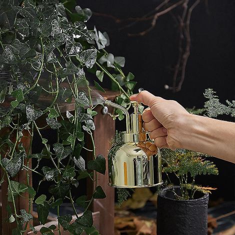 Lianshi Sprühflasche Aus Messing In Goldoptik Für Zimmerpflanzen Und Blumen, 300 Ml (10,56 Oz), 1 Stück.