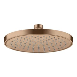 hansgrohe Kopfbrause EcoSmart Axor Deck.- o Wd, 220mm, 1j, brush. r gol