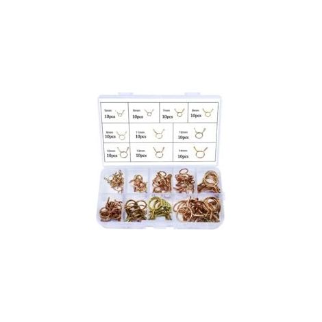 100-teiliges Schlauchschellen-set – Verzinkter Stahl – Durchmesser 5 Bis 14 Mm – Für Sanitär- Und Kfz-anwendungen – Inklusive Aufbewahrungsbox – 100 Stück