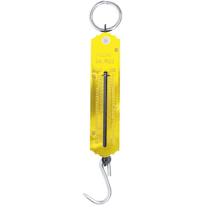 BGS Do it yourself Taschenfederwaage bis 50 kg