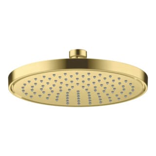 hansgrohe Kopfbrause EcoSmart plus Axor Deck.- o Wandmont., 220mm, 1j, brush. br