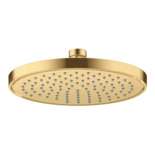 hansgrohe Kopfbrause EcoSmart plus Axor Deck.- o Wd, 220mm, 1j, brush. gol opt