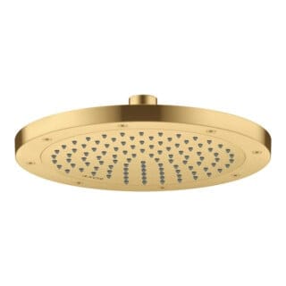 hansgrohe Kopfbrause Axor Deck.- o Wd, 245mm, 1j, brush. gol opt