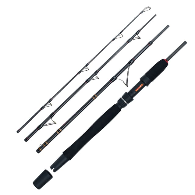 WFT Go North II 4pcs. 20lbs 2,10m 100-400g Meeres-Reiserute