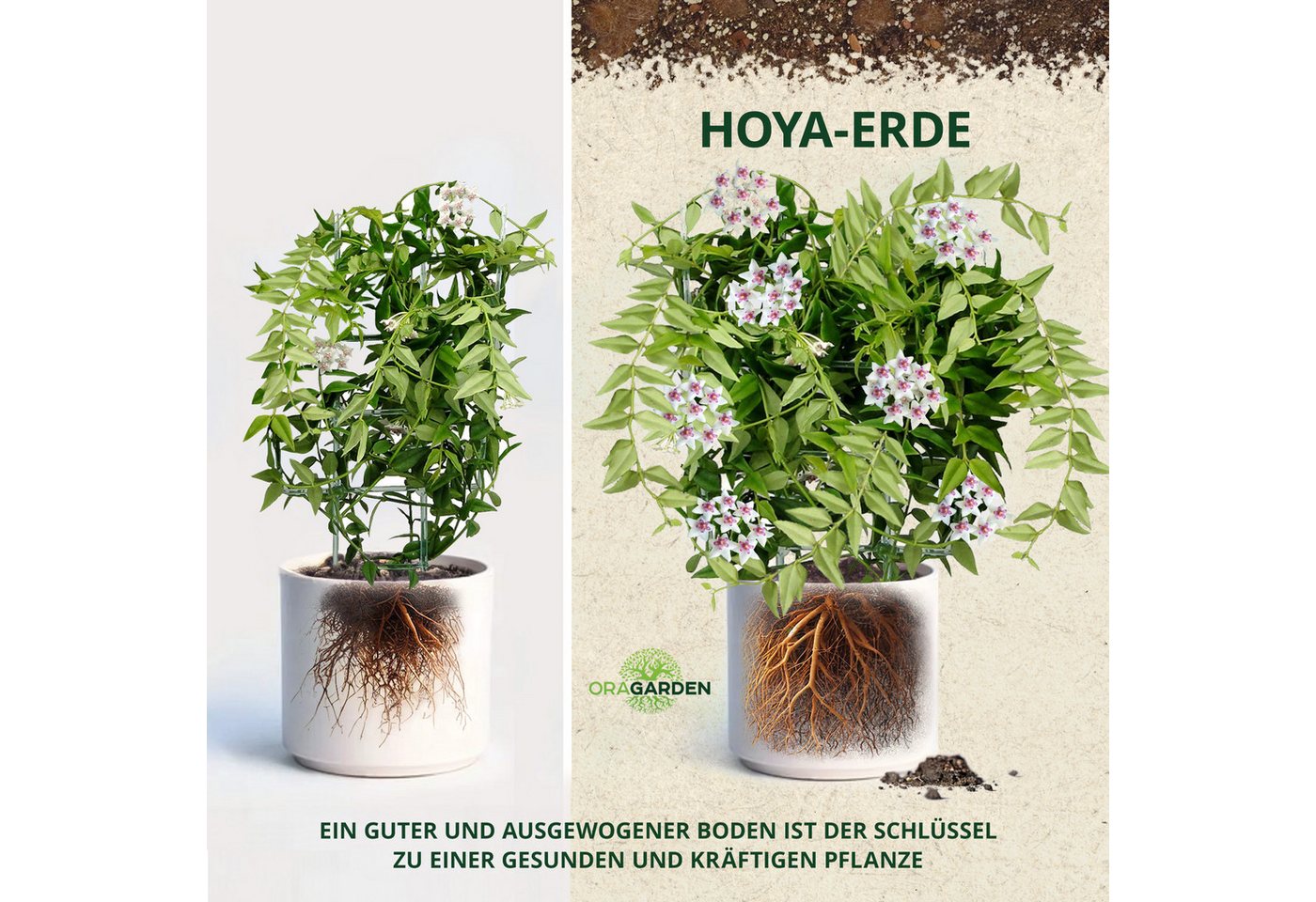 OraGarden Gartenbau-Substrat Hoya-Erde, mit Wurmhumus Bild 5