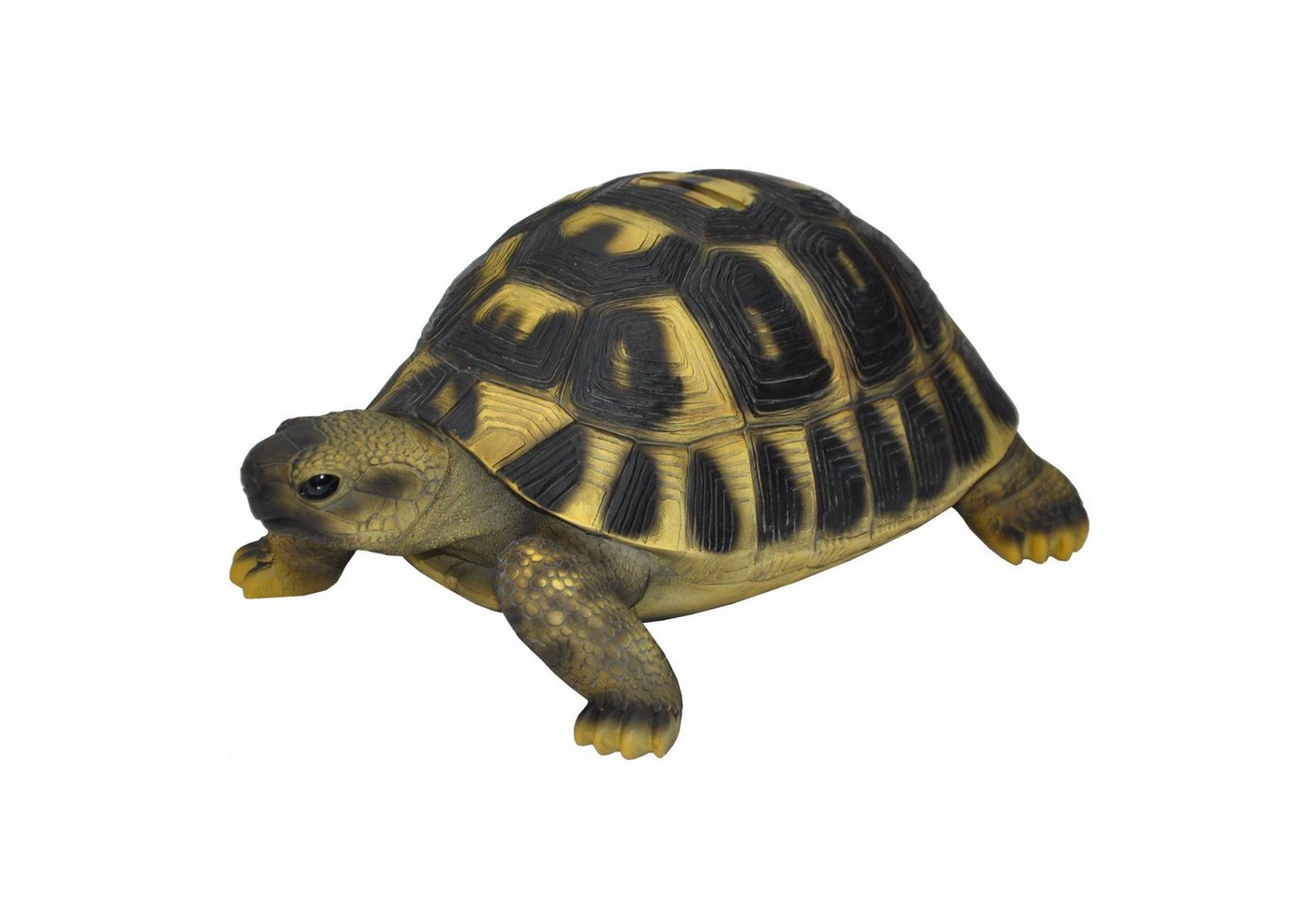 dazikemo Gartenfigur Spardose Sparschwein große Schildkröte
