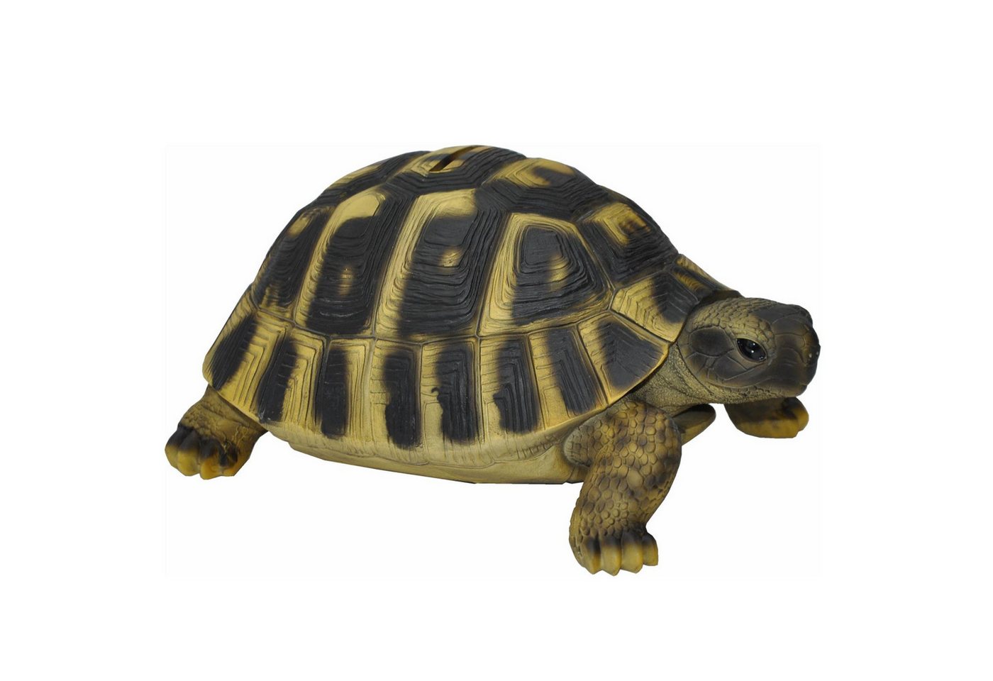 dazikemo Gartenfigur Spardose Sparschwein große Schildkröte Bild 2