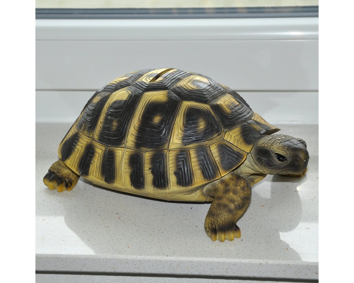 dazikemo Gartenfigur Spardose Sparschwein große Schildkröte Bild 4